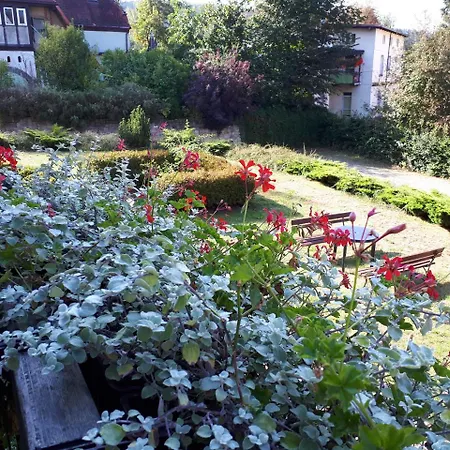 ベッド・アンド・ブレックファスト Sunvita Lądek-Zdrój