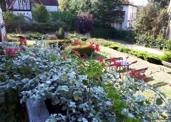 Bed & Breakfast Sunvita Lądek-Zdrój